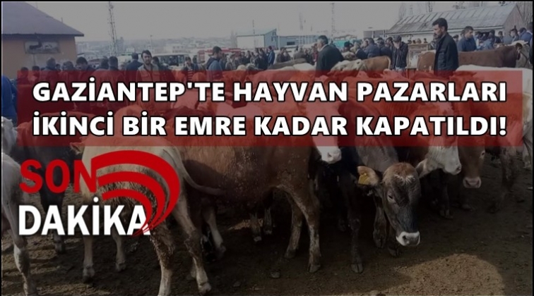 Gaziantep'te hayvan pazarı kapatıldı!