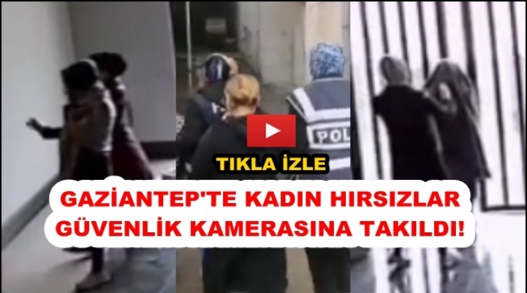 Gaziantep'te ikametten hırsızlık kamerada!