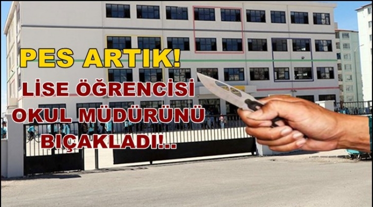 Gaziantep'te öğrenci, okul müdürünü bıçakladı
