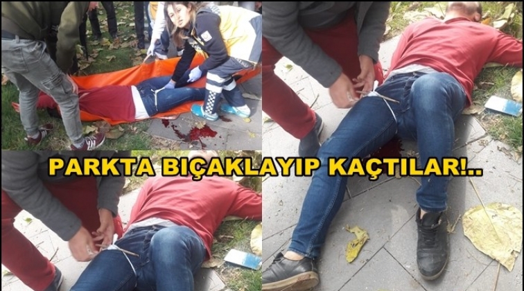 Gaziantep'te parkta bir genç bıçaklandı!