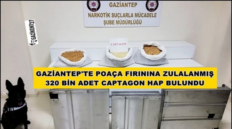 Gaziantep'te poaça fırınında 320 bin Captagon!