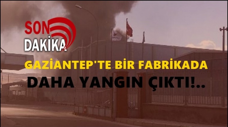 Gaziantep'te tekstil fabrikasında yangın!..