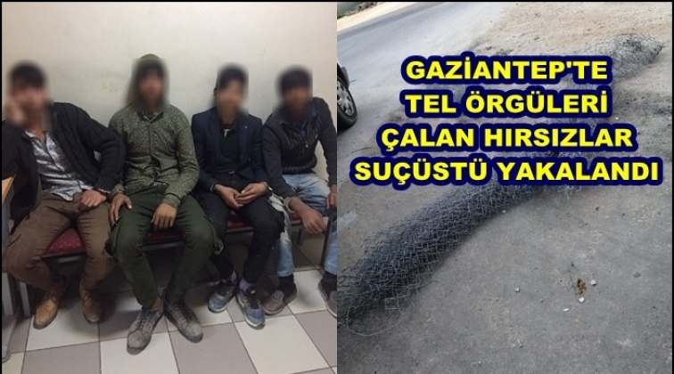 Gaziantep'te tel örgü hırsızlarına suçüstü!
