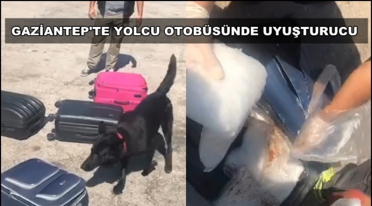Gaziantep'te yolcu valizinden uyuşturucu çıktı!