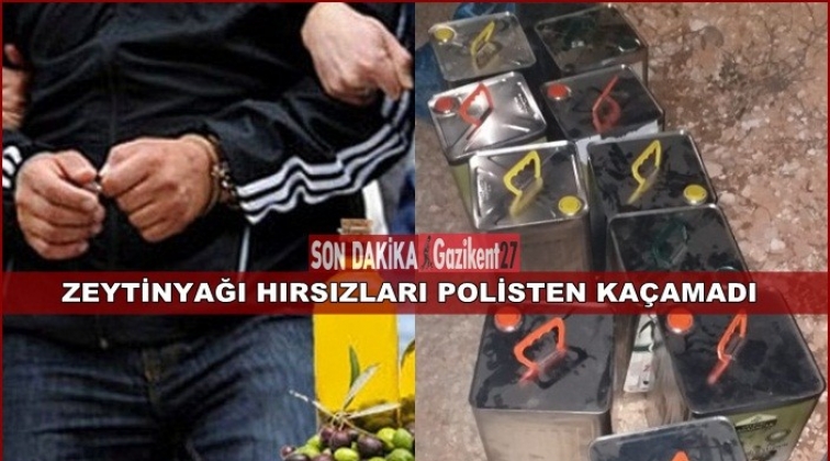 Gaziantep'te zeytin yağı hırsızlığı