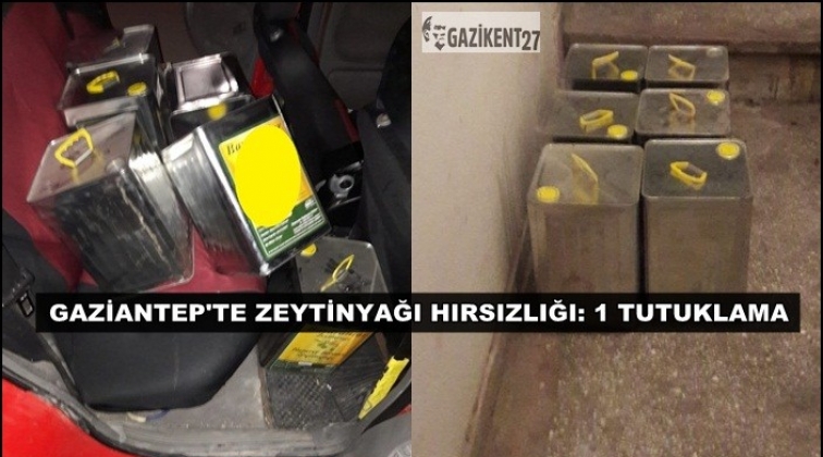 Gaziantep'te zeytinyağı hırsızlığına 1 tutuklama