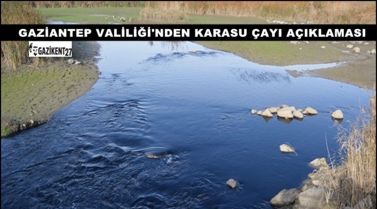 Gaziantep'teki Karasu &Ccedil;ayı'nın siyah akması