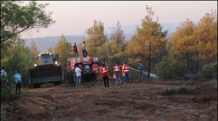 Gaziantep'ten Kilis'e 70 bin fidan desteği...