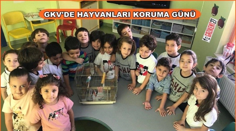 GKV Anaokulu öğrencilerinin hayvan sevgisi