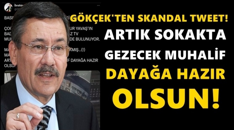 Gökçek: Sokakta gezecek muhalif dayağa hazır olsun!