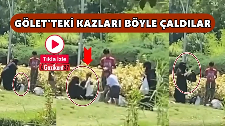 Göletteki kazları çantaya koyup çaldılar!