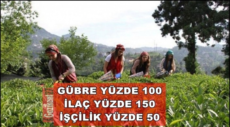 Gübre yüzde 100, ilaç yüzde 150, işçilik yüzde 50 artmış