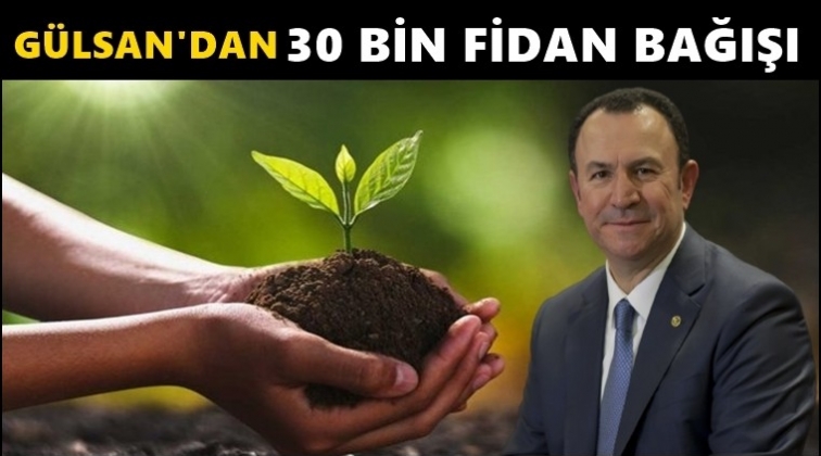 Gülsan Holding’den 30 bin fidan bağışı...