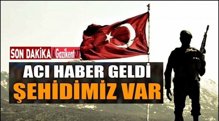 Hakkari'den bir şehit haberi daha