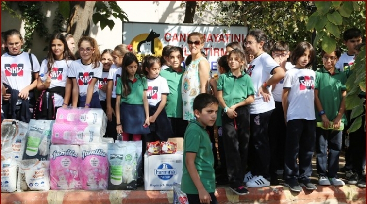 Harçlıklarını sokak hayvanları için biriktirdiler