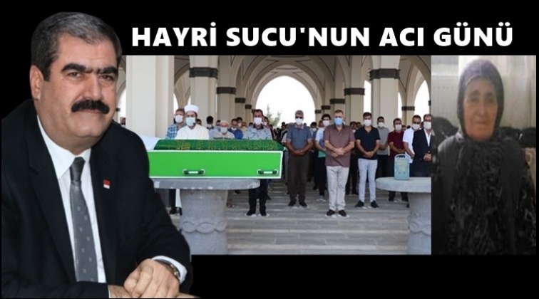 Hayri Sucu annesini kaybetti!..