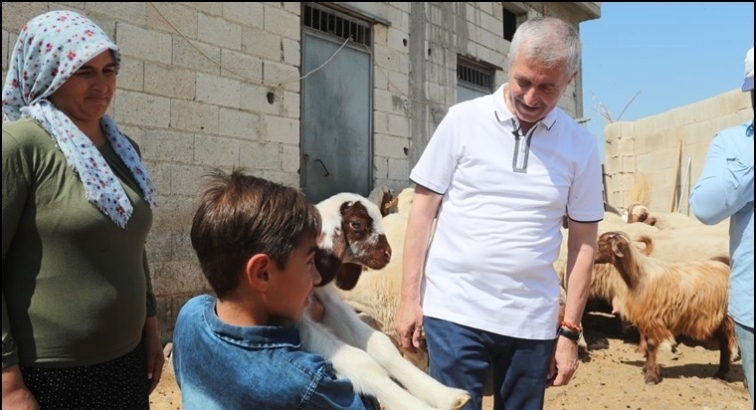 Hayvan yetiştiricilerine önemli destek...