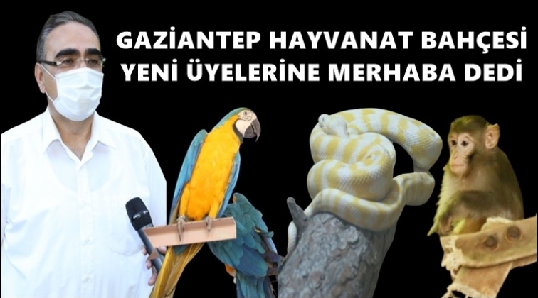 Hayvanat Bahçesi’nin yeni üyeleri...