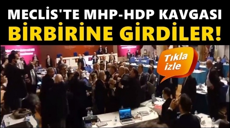 HDP ve MHP vekilleri birbirlerine girdi!