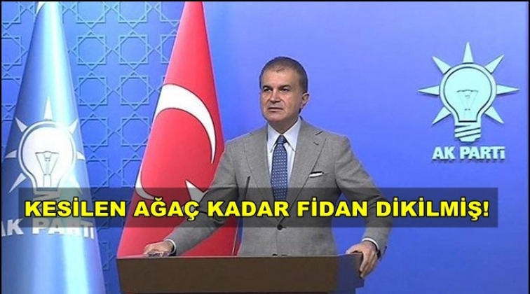 H&uuml;k&uuml;metten Kaz Dağları a&ccedil;ıklaması
