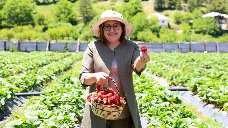Huzur Yaylası için eylem planı