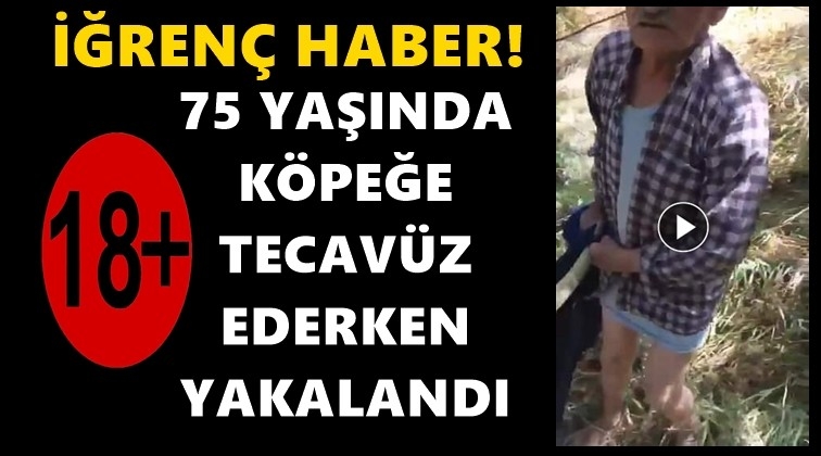 İğrenç adam! Köpeğe tecavüz ederken...