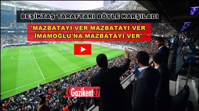 Beşiktaş maçında 'Mazbata' sesleri