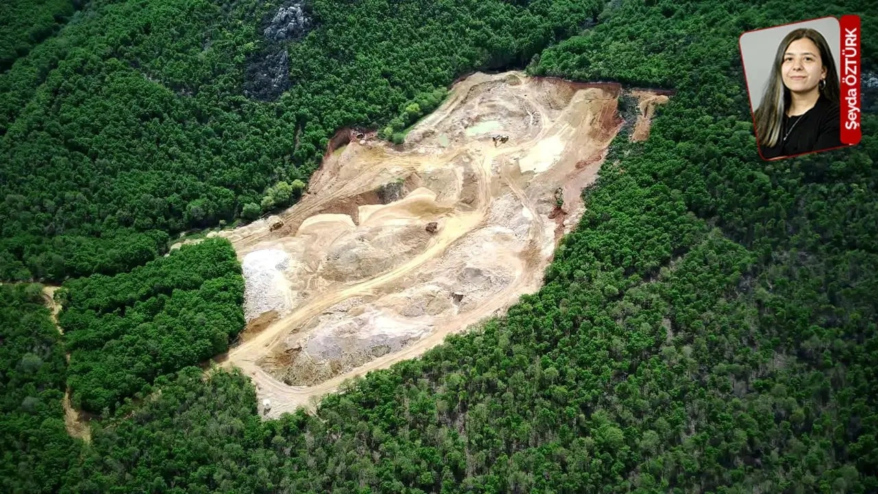 İSKİ’nin ve uzmanların uyarılarına karşın projeye ‘Dur’ diyen yok: 41 bin ağaç kesilecek