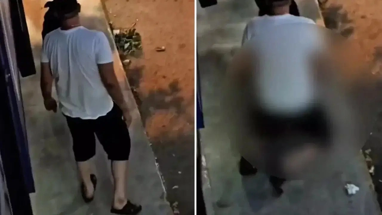 İstanbul'da skandal görüntü: Pendik’te bir erkek, köpeğe tecavüz etti!