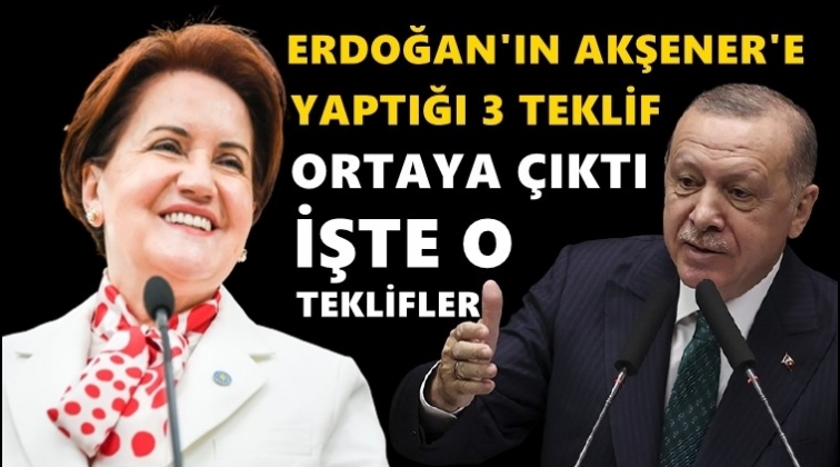 İşte, Erdoğan'ın Akşener'e yaptığı üç teklif!