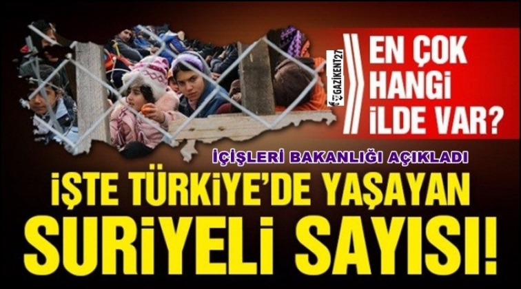 İşte T&uuml;rkiye'deki Suriyeli sayısı