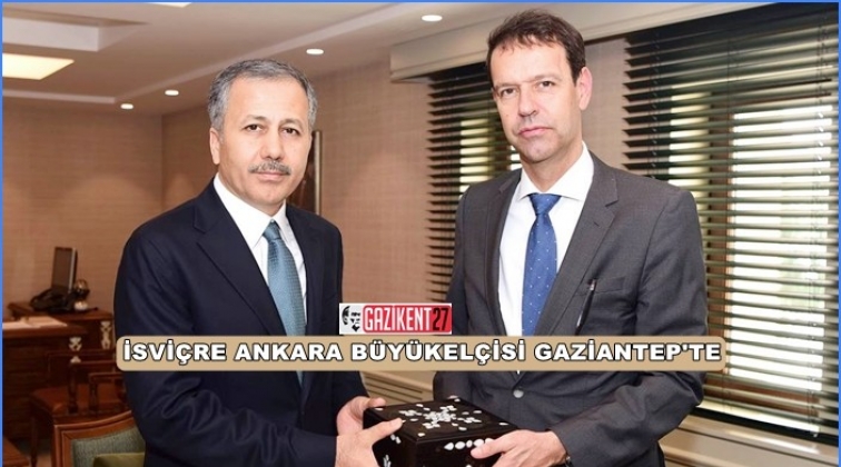 İsvi&ccedil;re B&uuml;y&uuml;kel&ccedil;isi Vali Yerlikaya&rsquo;ya ziyaret