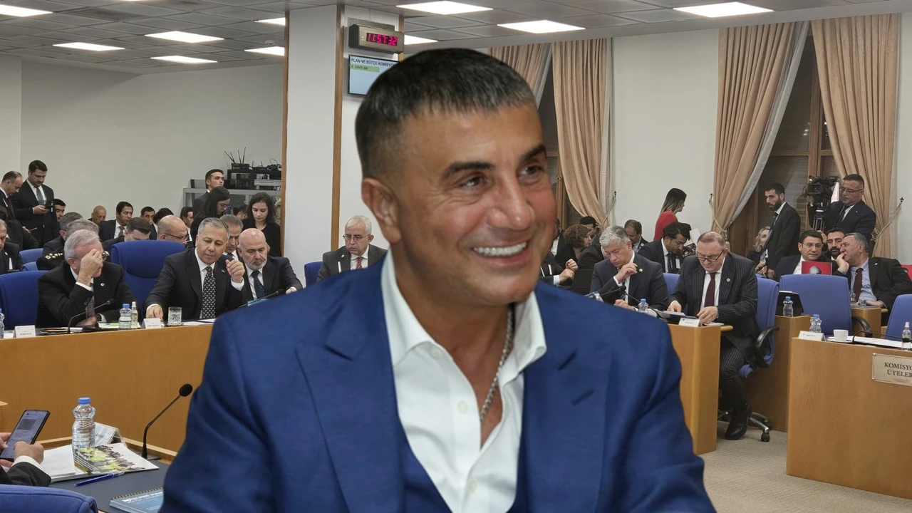 İYİ Partili Poyraz: Sedat Peker için ayrı bir bakanlık oluşturulabilir!