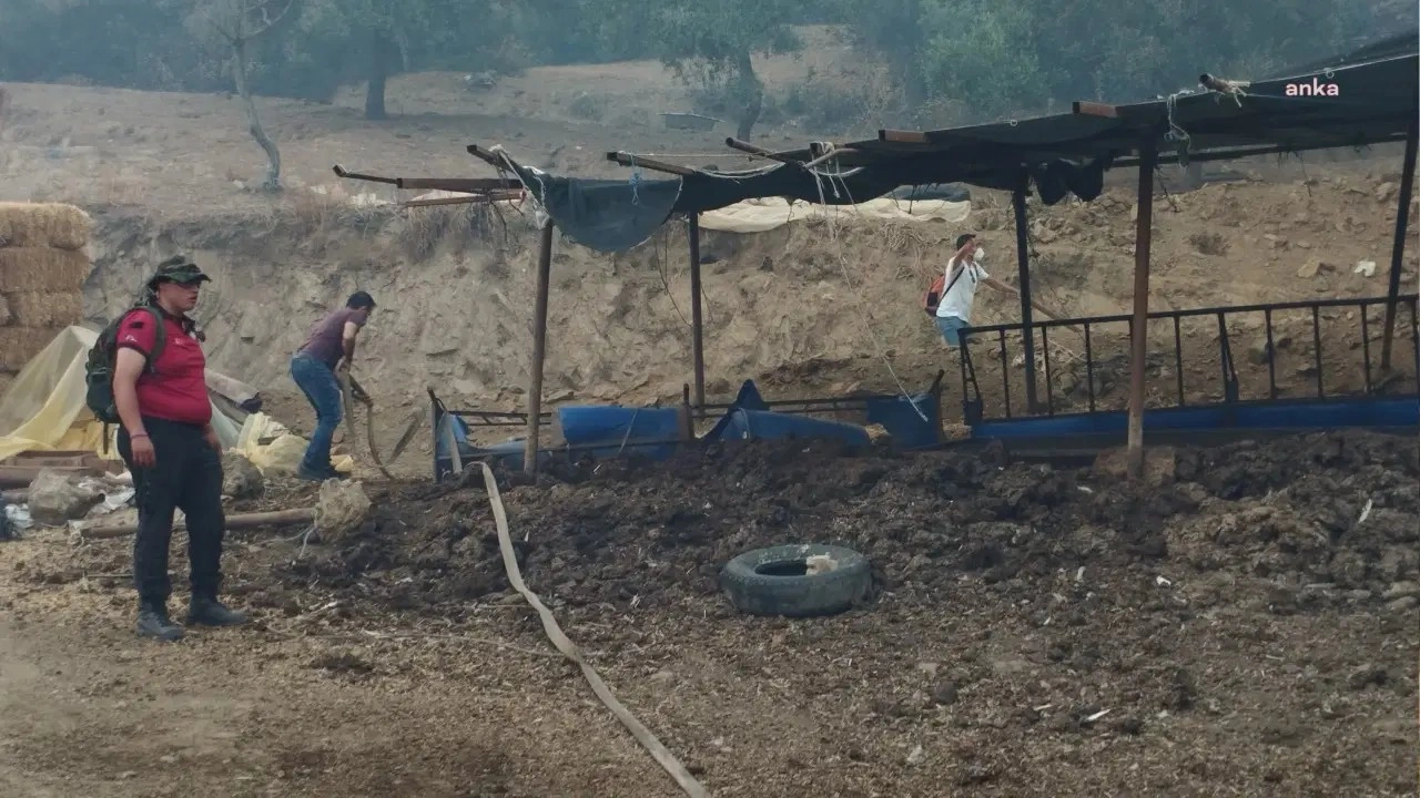 İzmir Büyükşehir Belediye Başkanı Tugay Ödemiş’te yangın bölgesinde: “Bu bir afet, bu bir felaket”