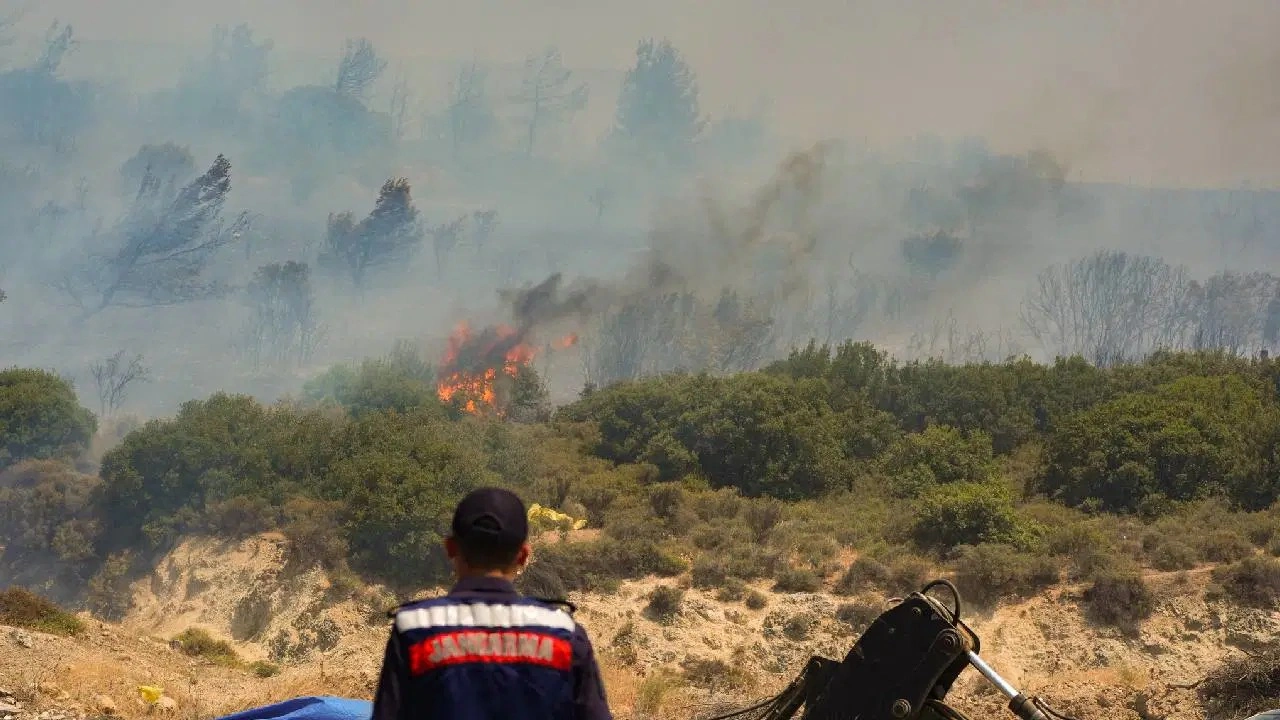 İzmir'de korkutan orman yangını: Gözaltılar var!