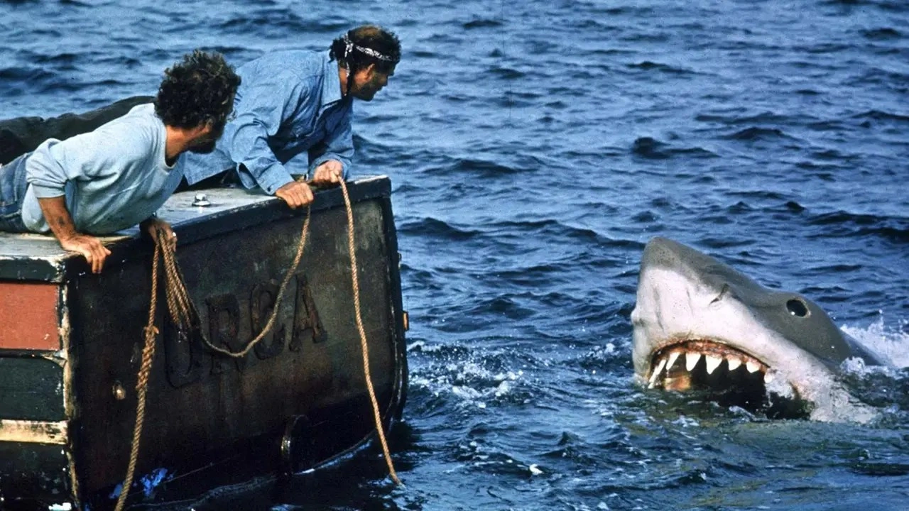 Jaws filmine ilham veren olayla ilgili neler biliniyor?