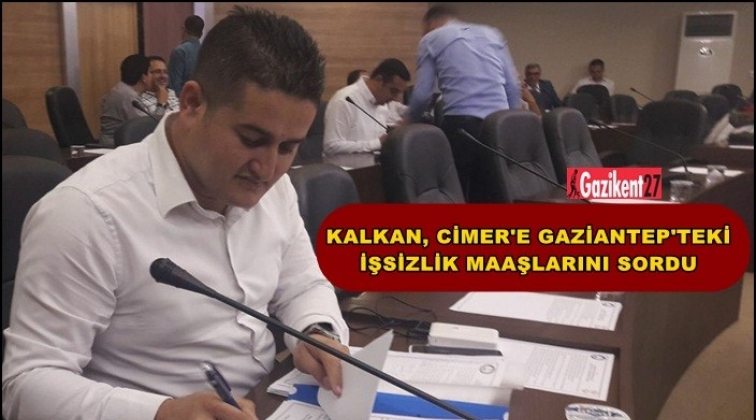 Kalkan: Bu aslında ger&ccedil;ek işsizlik oranı değil!