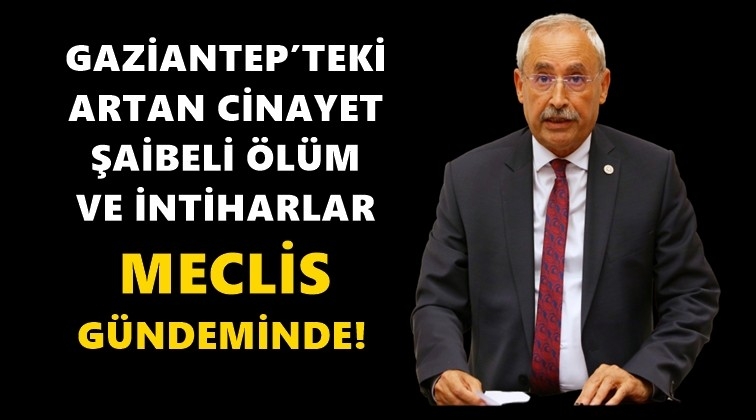 Kaplan, cinayet ve intiharları sordu...