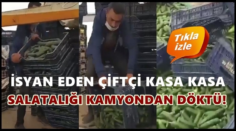 Kasa kasa salatalığı kamyondan aşağı döktü!..