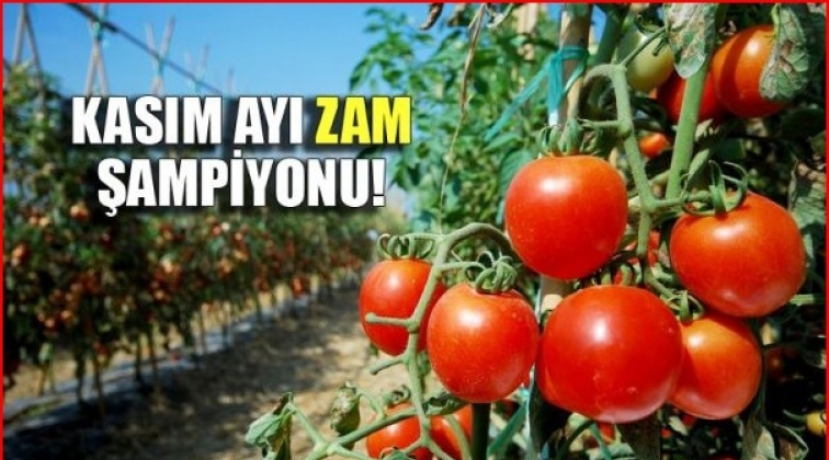 Kasım ayının zam şampiyonu domates