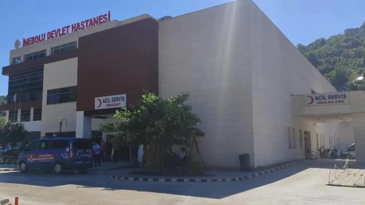 Kastamonu'da üzüm yaprağı toplarken düşen kadın hayatını kaybetti