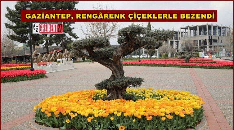 Kavşak ve ref&uuml;jler &ccedil;i&ccedil;ek a&ccedil;tı