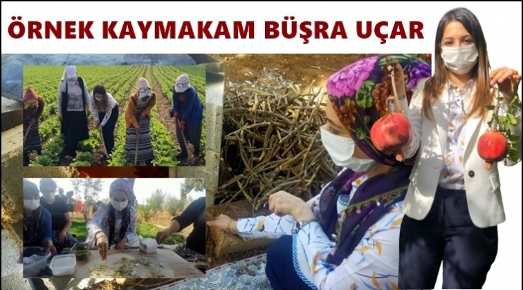 Kaymakam Uçar, vatandaşın takdirini topluyor