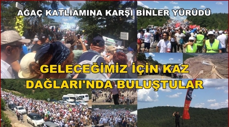 Kaz Dağları'na akın ettiler
