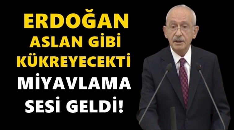 Kılıçdaroğlu: Ekmeğe savaş açtılar!