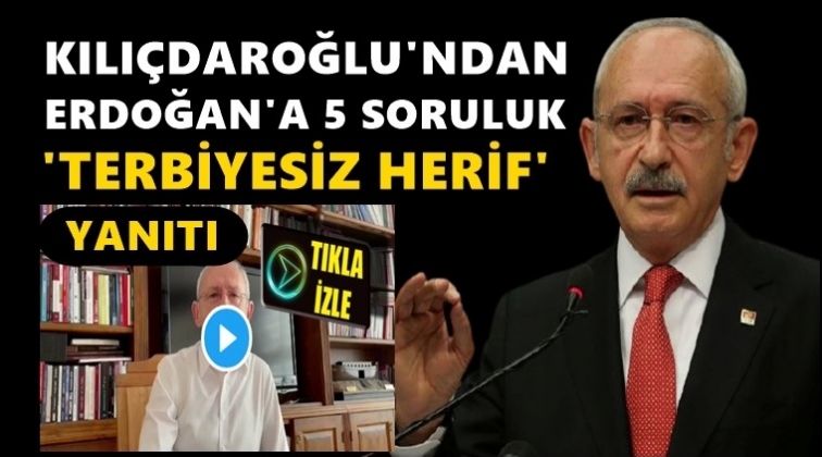 Kılıçdaroğlu'ndan 'terbiyesiz herif' yanıtı...