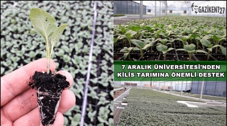 Kilis 7 Aralık Üniversitesi’nden tarıma destek