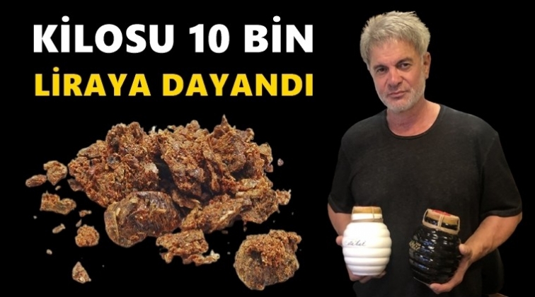 Kilosu 10 bin TL’ye yaklaştı!..