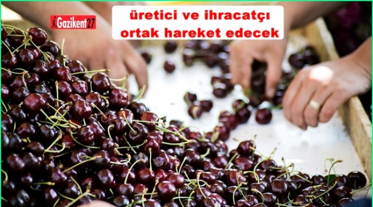 Kiraz üreticisi ile ihracatçısı ortak hareket edecek