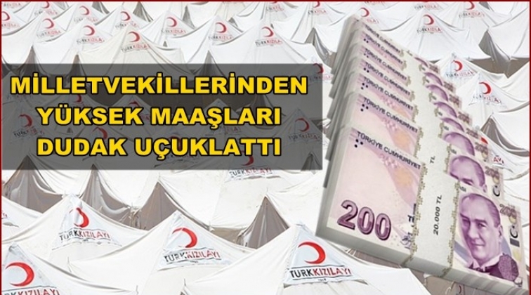 Kızılay y&ouml;neticilerinin maaşları dudak u&ccedil;uklattı